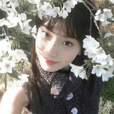 捕风追影