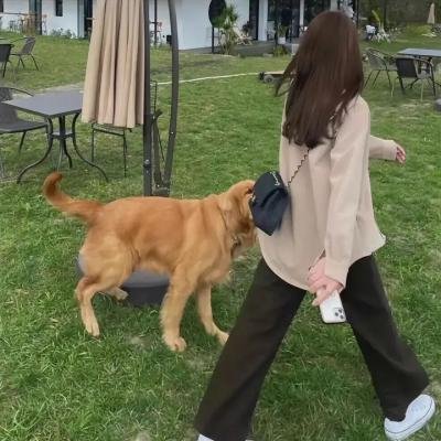 暹罗复兴录